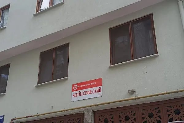 Selvili Çınar Cami - Resim 13