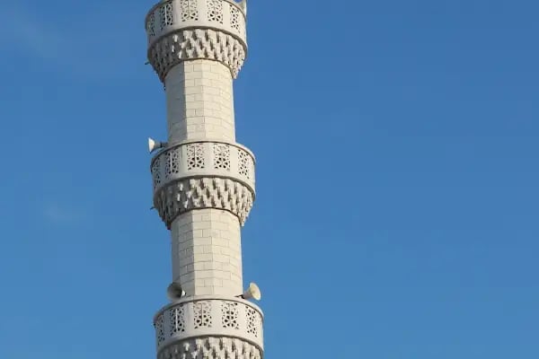 Selvili Çınar Cami - Resim 12
