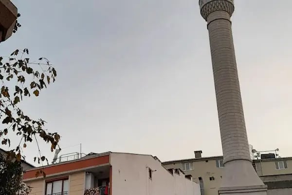 Selvili Çınar Cami - Resim 11