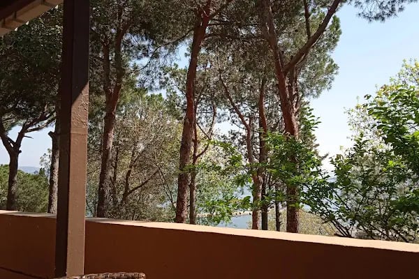 Dz.K.K.lığı Şafak Sosyal Tesisleri - Resim 5