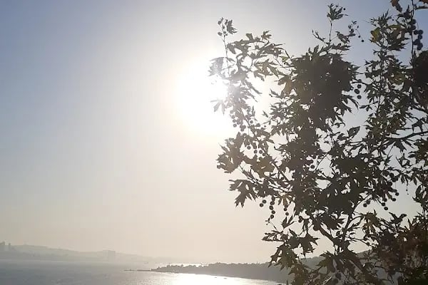 Dz.K.K.lığı Şafak Sosyal Tesisleri - Resim 16