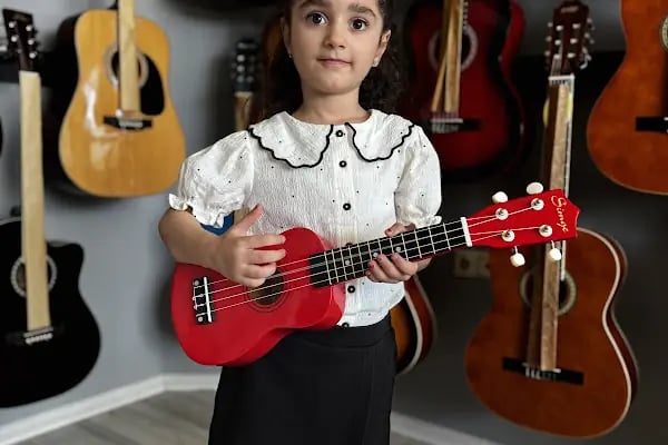 EGEMEN MÜZİK MAĞAZASI - Resim 6