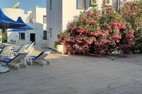 Bodrum Blu - Resim 19