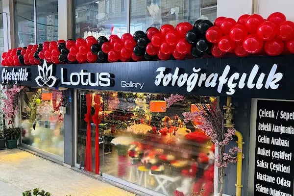 Lotus Gallery Çiçek Çikolata Fotoğrafçılık Ve Organizasyon - Resim 2