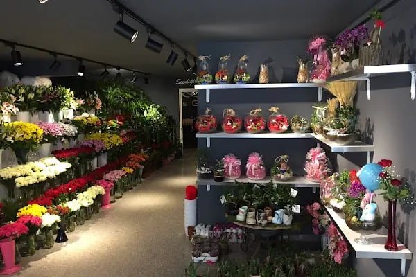 Lotus Gallery Çiçek Çikolata Fotoğrafçılık Ve Organizasyon - Resim 9