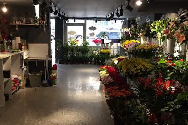 Lotus Gallery Çiçek Çikolata Fotoğrafçılık Ve Organizasyon - Resim 12
