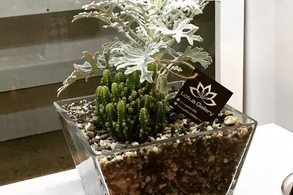 Lotus Gallery Çiçek Çikolata Fotoğrafçılık Ve Organizasyon - Resim 10
