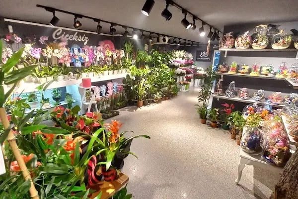 Lotus Gallery Çiçek Çikolata Fotoğrafçılık Ve Organizasyon - Resim 3
