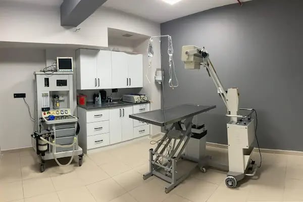 VetPlanet Veteriner Kliniği - Resim 3