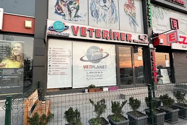 VetPlanet Veteriner Kliniği - Resim 2