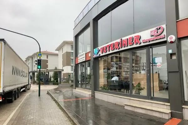 VetPlanet Veteriner Kliniği - Resim 5