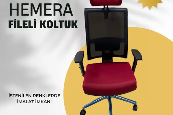 Alles Ofis Koltukları - Resim 2