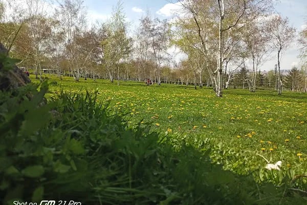 Altinpark - Resim 18