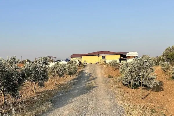 KARAKEÇİLİ POLATLAR AİLE ÇİFTLİĞİ - Resim 7