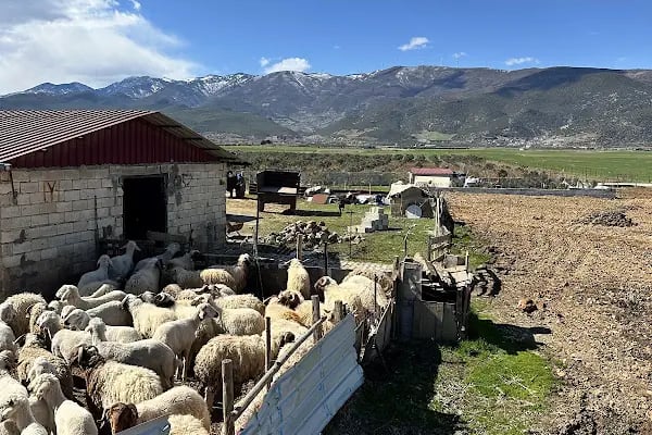 KARAKEÇİLİ POLATLAR AİLE ÇİFTLİĞİ - Resim 4