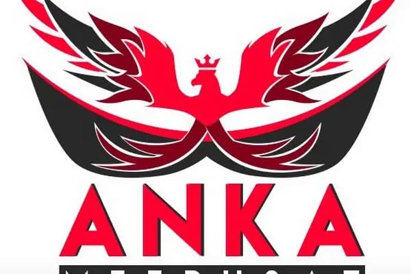 Anka Halı-Stor-Zebra Yıkama - Resim 9