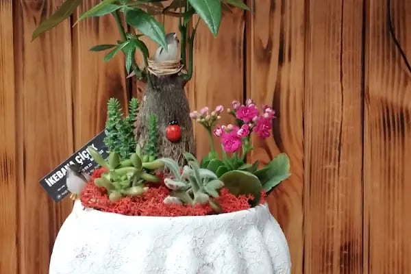Jasmine's Garden - Resim 9