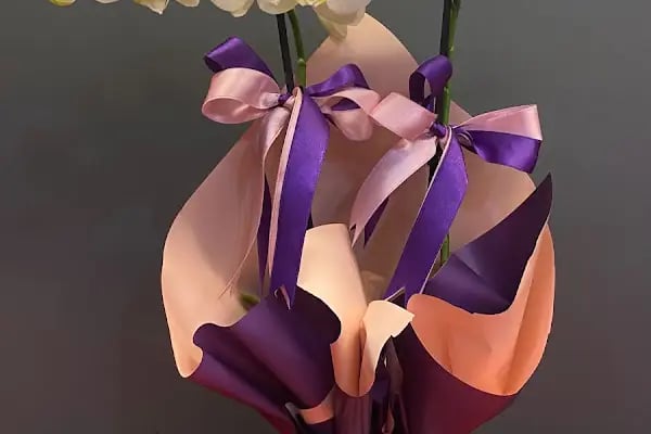 Jasmine's Garden - Resim 8