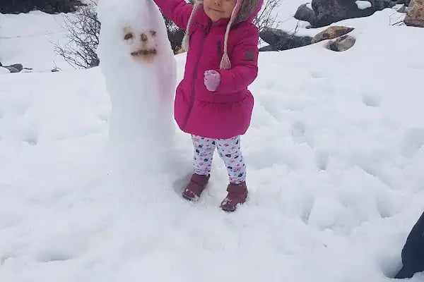 Akseki-ibradı Havza Projesi Hatıra Ormanı - Resim 9
