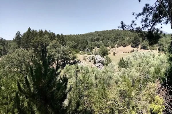Akseki-ibradı Havza Projesi Hatıra Ormanı - Resim 2