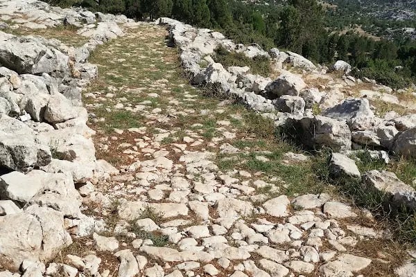 Akseki-ibradı Havza Projesi Hatıra Ormanı - Resim 4