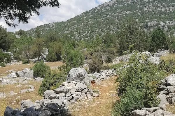 Akseki-ibradı Havza Projesi Hatıra Ormanı - Resim 7
