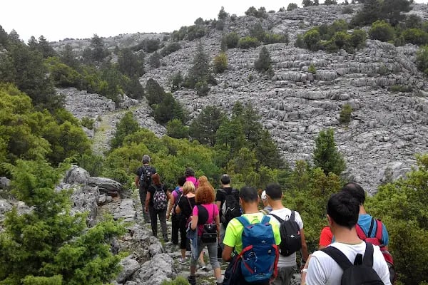 Akseki-ibradı Havza Projesi Hatıra Ormanı - Resim 19
