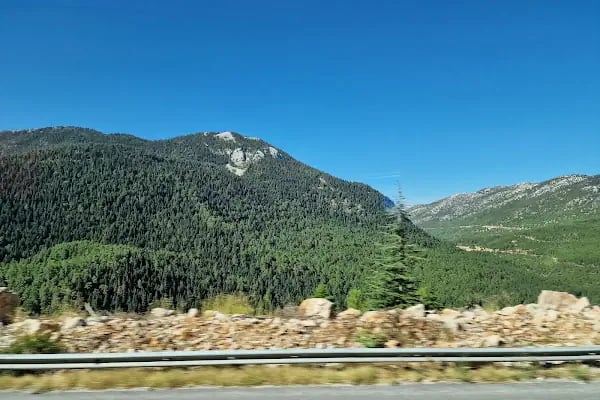 Akseki-ibradı Havza Projesi Hatıra Ormanı - Resim 3