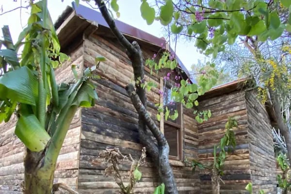 Kamp Alen - İncekum - Alanya - Resim 7
