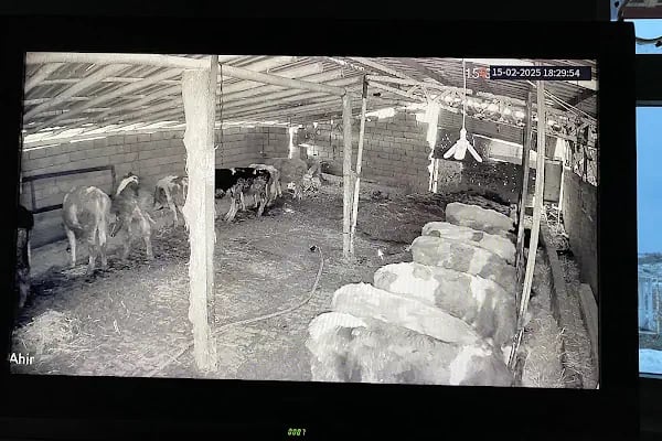 AYGÜN BİLİŞİM GÜVENLİK Dahua-Ajax Çözüm Ortağı, Bozkır, Türkiye BOZKIR Kamera - Resim 3