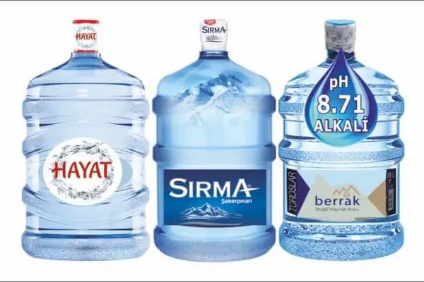Öz Murtçu mogaz - Resim 2