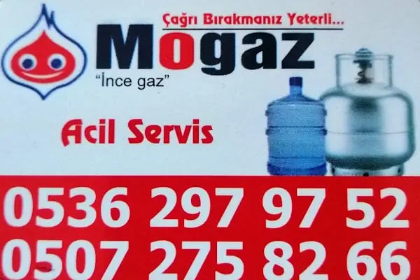 Öz Murtçu mogaz - Resim 4