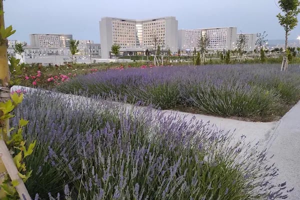 Etlik şehir hastanesi Onkoloji 6.kule - Resim 5