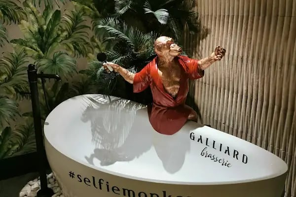 The GALLIARD - Resim 19