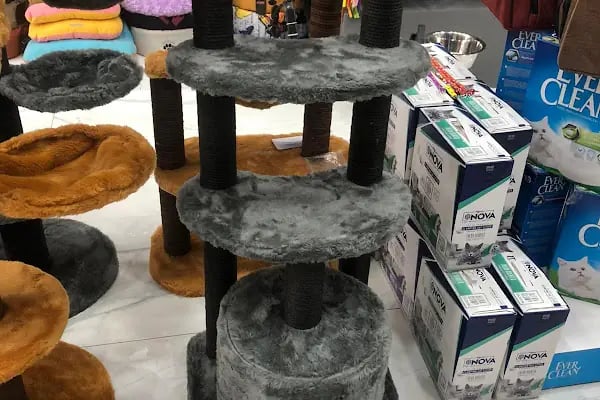 Çitil petshop - Resim 8