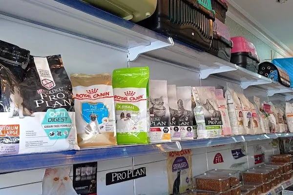 Çitil petshop - Resim 3