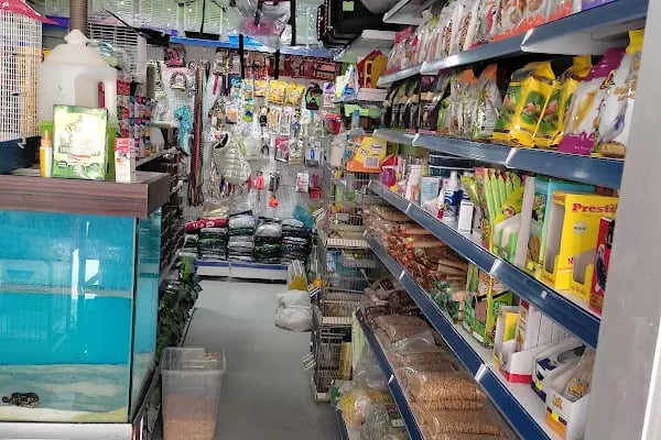 Çitil petshop - Resim 11