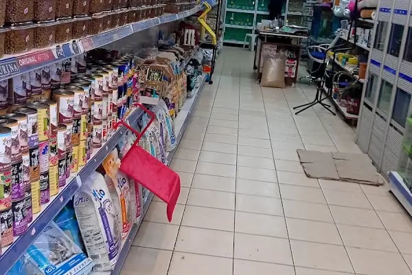 Çitil petshop - Resim 10