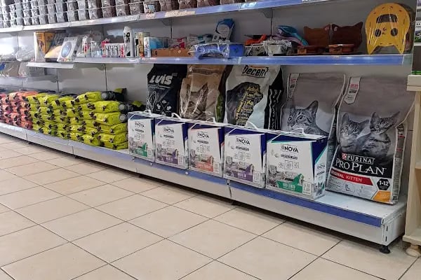 Çitil petshop - Resim 14