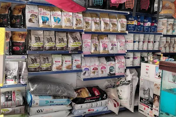 Çitil petshop - Resim 13