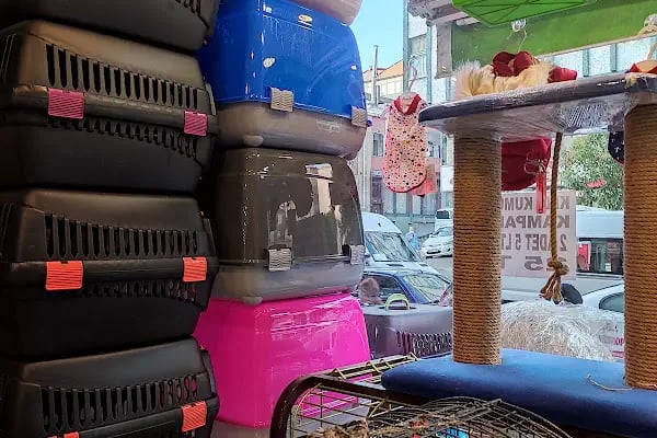 Çitil petshop - Resim 5