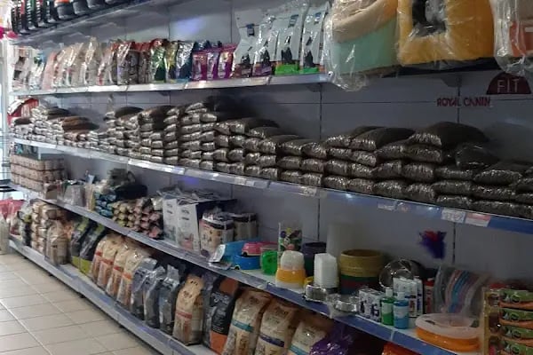 Çitil petshop - Resim 17