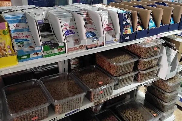 Çitil petshop - Resim 15