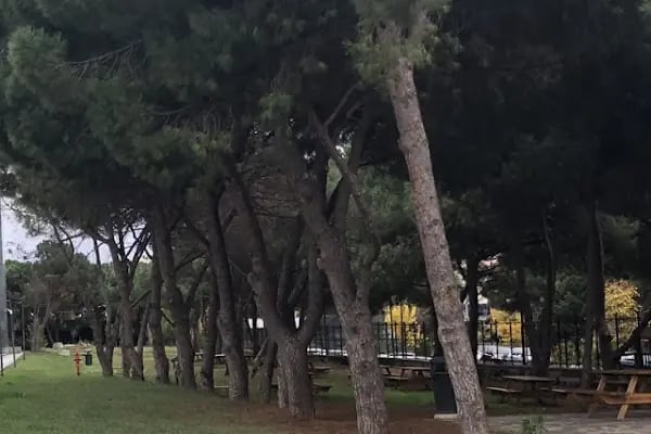 İstanbul Bölge Adliye Mahkemesi - Resim 7