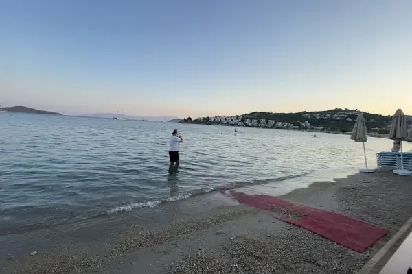 New Season Restaurant &amp; Beach &amp; Bitez - Resim 7