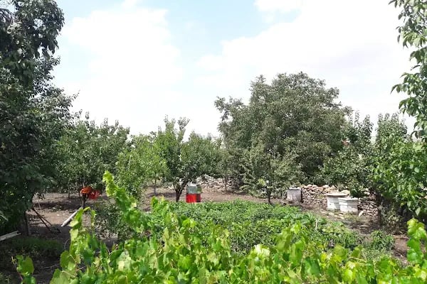 Gökçebağ Köyü Cami - Resim 4