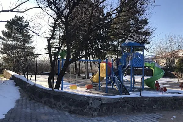 Gökçebağ Köyü Cami - Resim 2