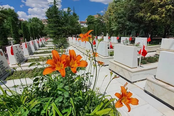 Konya Askeri Şehitliği - Resim 7