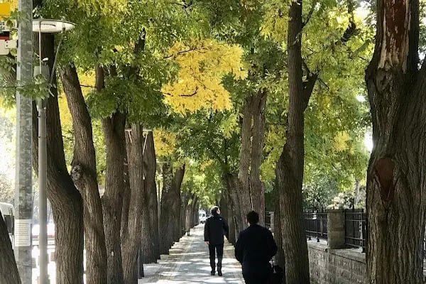 Konya Askeri Şehitliği - Resim 10