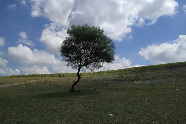Çakıl Göleti - Resim 12